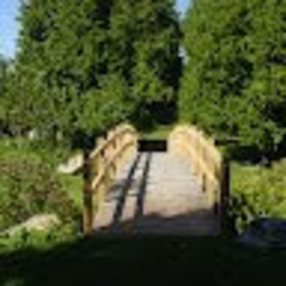 Meet your Posher, Judy - Picture 1 of 1